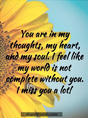 quotes on miss u love